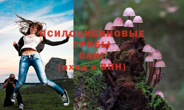 мефедрон Алексеевка