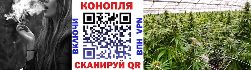 Марихуана OG Kush  Невинномысск 